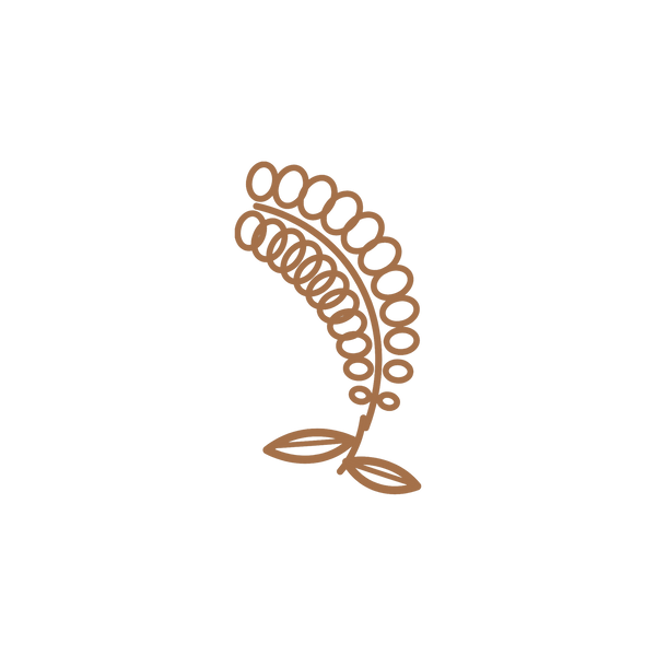 Amaranth seed extract