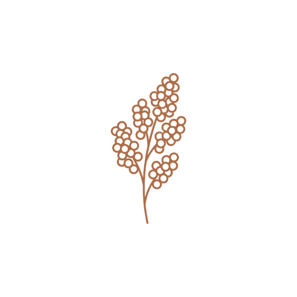 Quinoa protein