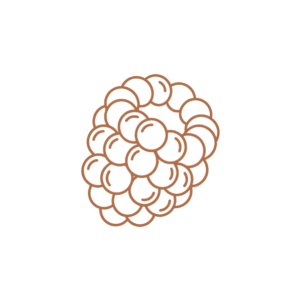 Raspberry extract
