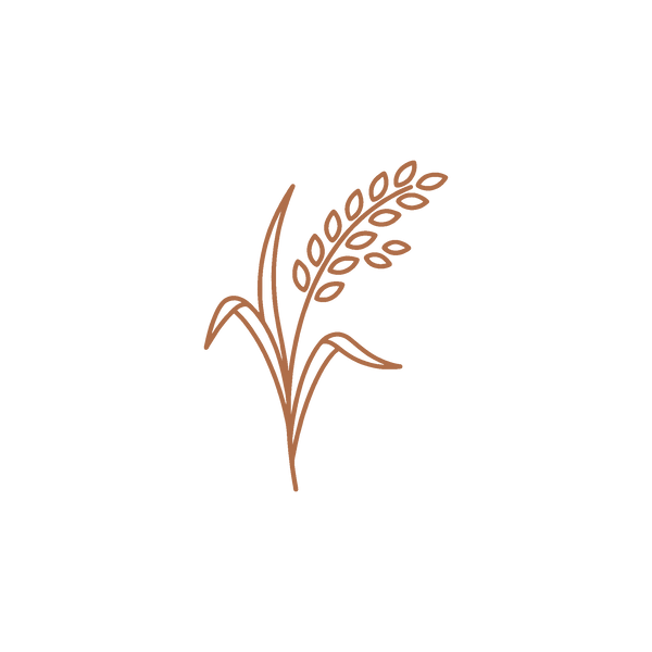 Rice bran oil