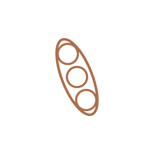 Soy protein
