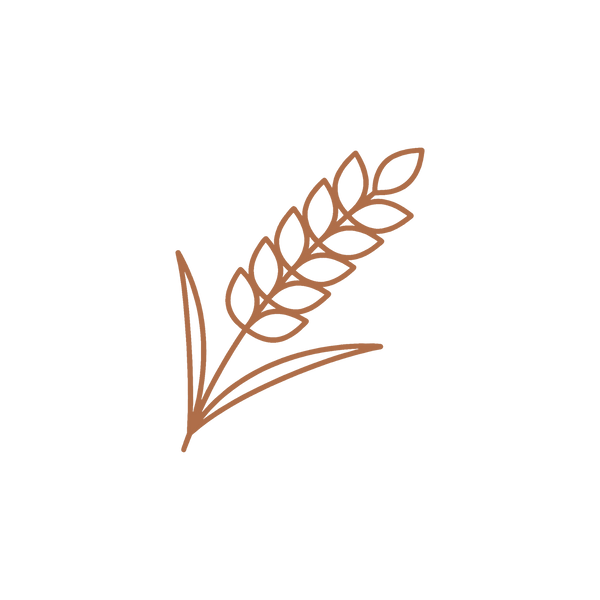 Wheat